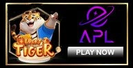 img proviider
